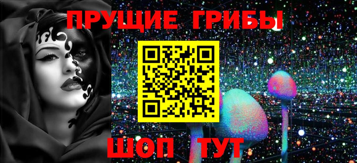 купить  цена  Вход с VPN  Хабаровск  Галлюциногенные грибы Cubensis 